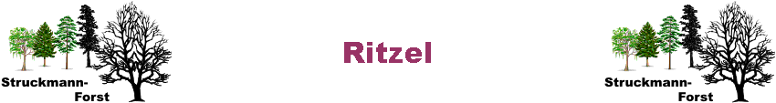 Ritzel
