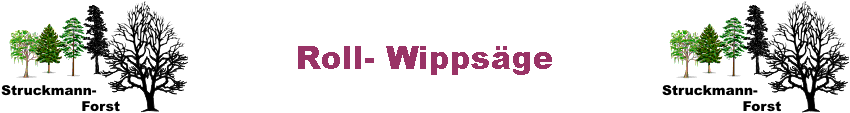 Roll- Wippsge