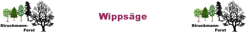 Wippsge